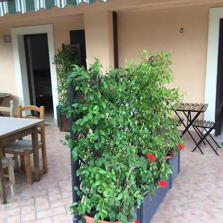 Del Ponte Hotel