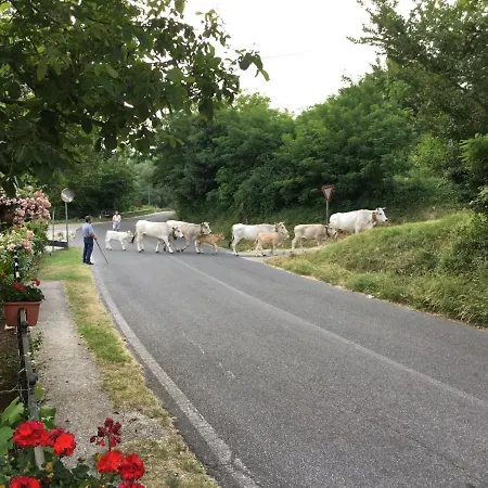 Szálloda Del Ponte Balsorano Vecchio
