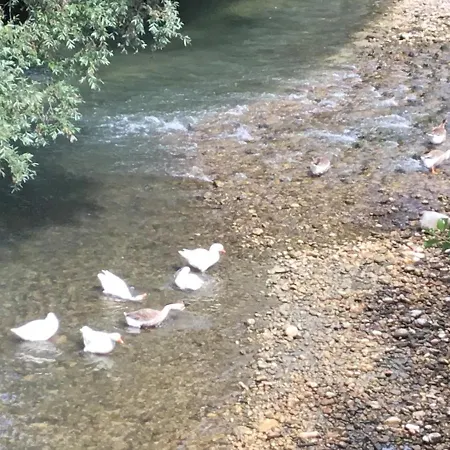 Del Ponte * Balsorano Vecchio