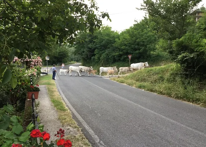 Hotel Del Ponte Balsorano Vecchio