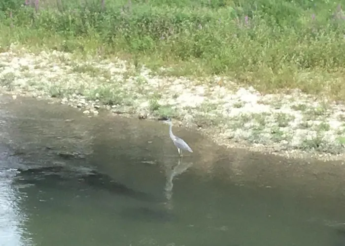 Del Ponte * Balsorano Vecchio