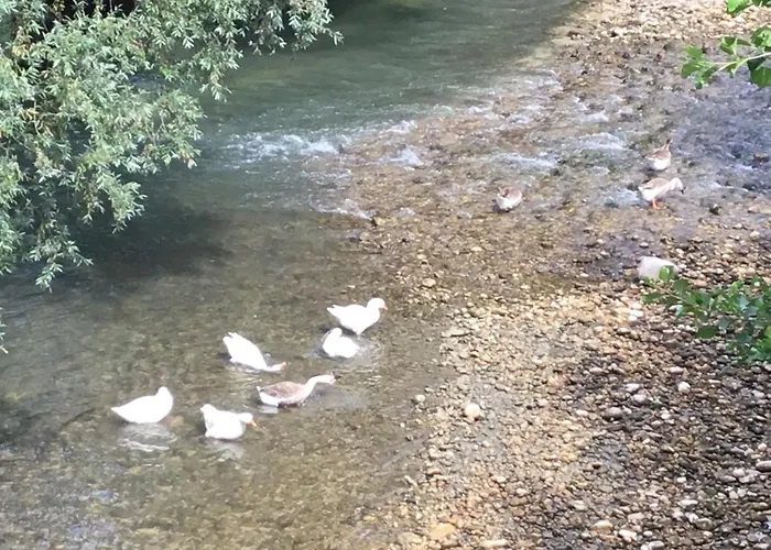 Del Ponte * Balsorano Vecchio